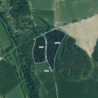 Prodej lesa 139 018 m² Římov Dolní Stropnice