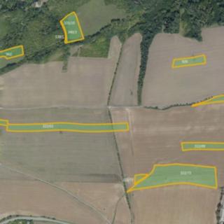 Prodej zemědělské půdy 36985 m²