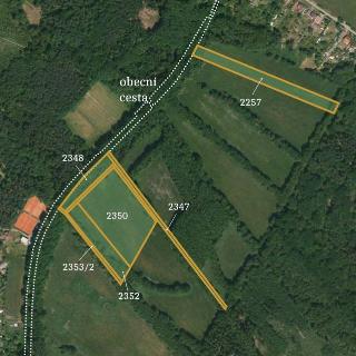 Prodej zemědělské půdy 31 444 m² Třebechovice pod Orebem