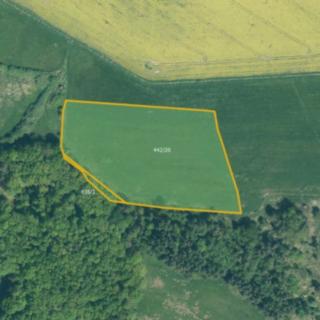 Prodej louky 17 551 m² Mirotice
