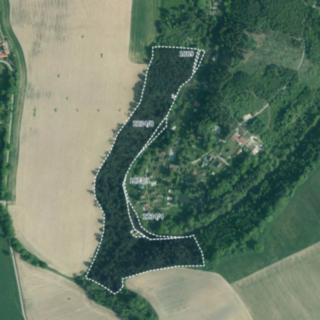 Prodej lesa 52 494 m² Římov Dolní Stropnice