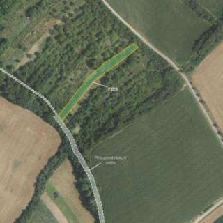 Prodej zemědělské půdy 789 m² Lovčice