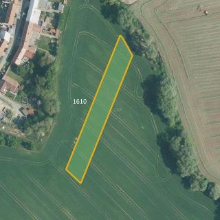 Prodej zemědělské půdy 9 296 m² Pavlovice u Kojetína