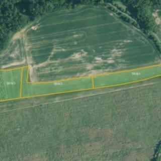 Prodej zemědělské půdy 19 046 m² Radnice Svatá Barbora
