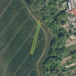 Prodej zemědělské půdy 5251 m&sup2; Staré Město