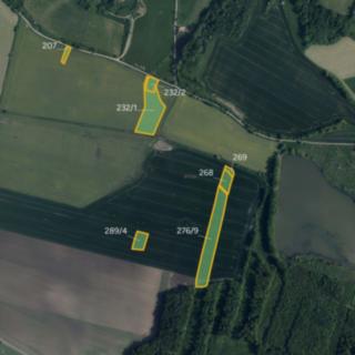 Prodej zemědělské půdy 24809 m² Kobylnice