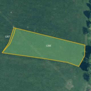 Prodej zemědělské půdy 3255 m² Strašice