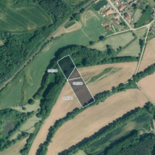 Prodej zemědělské půdy 9024 m² Mladotice