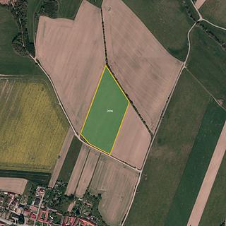 Prodej zemědělské půdy 27304 m&sup2; Olšany
