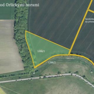 Prodej zemědělské půdy 17 605 m² Opočno