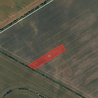 Prodej zemědělské půdy 12121 m&sup2; Ořechov