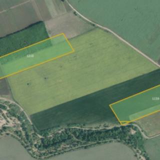 Prodej zemědělské půdy 76488 m² Němčičky