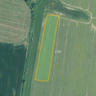 Prodej zemědělské půdy 21656 m² Kluky