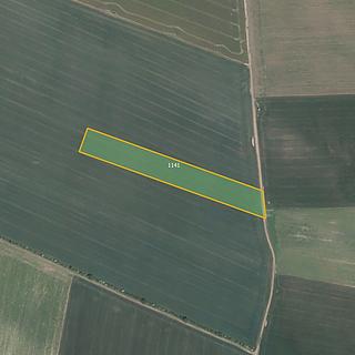 Prodej zemědělské půdy 16200 m&sup2; Nový Šaldorf-Sedlešovice