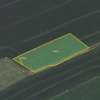Prodej zemědělské půdy 2 984 m² Česká Třebová