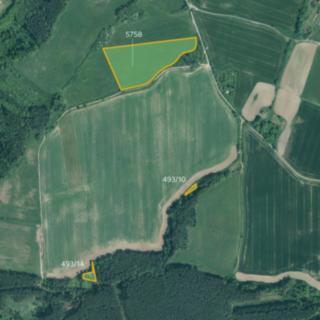 Prodej louky 21867 m² Slabčice