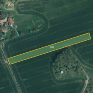 Prodej zemědělské půdy 43 023 m² Koloveč