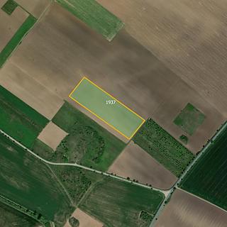 Prodej zemědělské půdy 25300 m&sup2; Znojmo