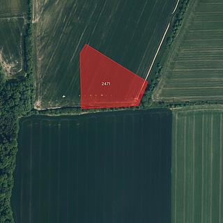 Prodej zemědělské půdy 19255 m&sup2; Jenišovice