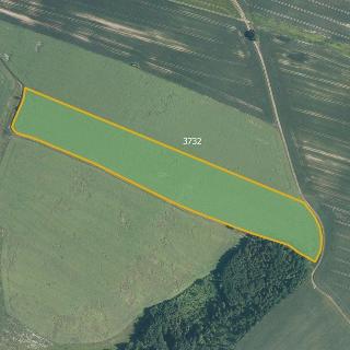 Prodej zemědělské půdy 42 060 m² Jindřichov