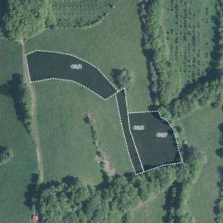 Prodej louky 19297 m² Seninka