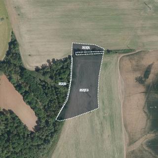 Prodej zemědělské půdy 4 958 m² Lázně Bohdaneč