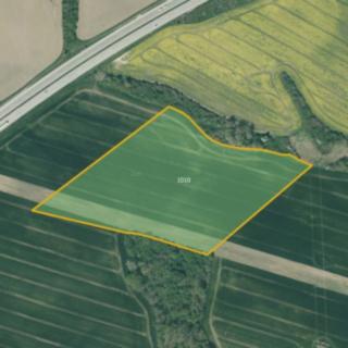 Prodej zemědělské půdy 39 638 m² Heřmanova Huť