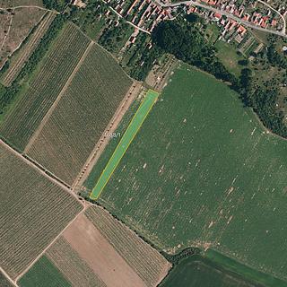 Prodej zemědělské půdy 7141 m&sup2; Znojmo