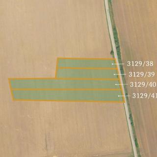 Prodej zemědělské půdy 18 002 m² Úštěk