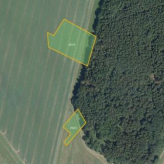 Prodej zemědělské půdy 7 667 m² Nejepín