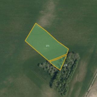 Prodej zemědělské půdy 7 384 m² Načešice