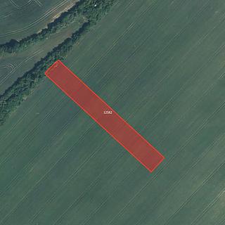 Prodej zemědělské půdy 2000 m&sup2; Mutěnice