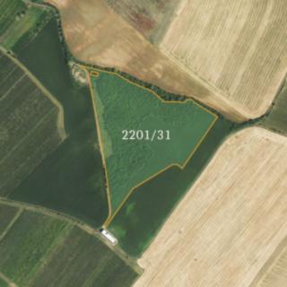 Prodej zemědělské půdy 71982 m² Bořetice