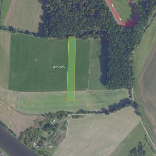 Prodej zemědělské půdy 8 587 m² Brandýs nad Labem-Stará Boleslav