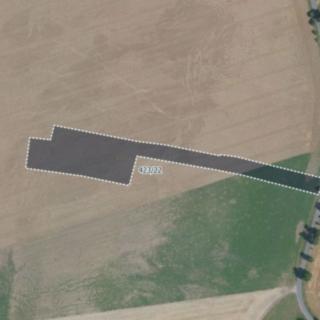 Prodej zemědělské půdy 8690 m² Loučeň