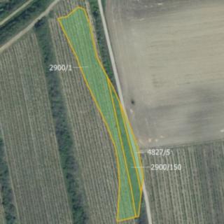 Prodej ostatního pozemku 3 575 m² Čejkovice