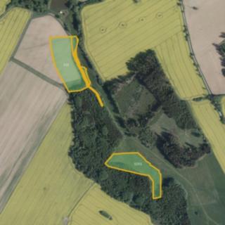 Prodej zemědělské půdy 38 336 m² Hořepník Mašovice
