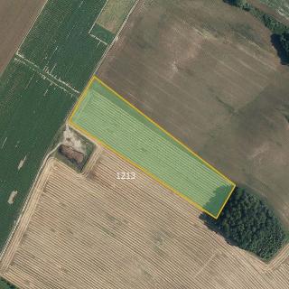 Prodej zemědělské půdy 5 407 m² Hradec-Nová Ves