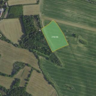 Prodej zemědělské půdy 11756 m² Petříkov