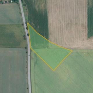 Prodej zemědělské půdy 8489 m² Milotice