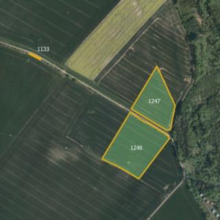 Prodej zemědělské půdy 31 647 m² Bílé Poličany