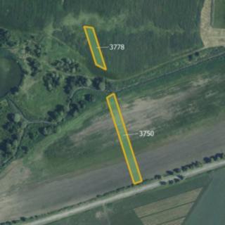 Prodej zemědělské půdy 5778 m² Starovičky
