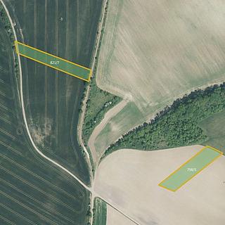Prodej zemědělské půdy 17754 m&sup2; Hoštice