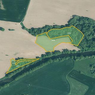 Prodej zemědělské půdy 19814 m&sup2; Kestřany