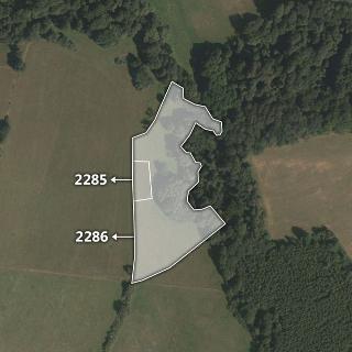 Prodej louky 6 693 m² Lačnov