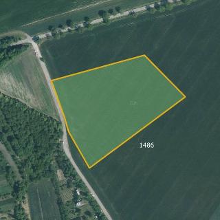 Prodej zemědělské půdy 7 489 m² Vážany nad Litavou