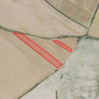 Prodej zemědělské půdy 5455 m² Hředle