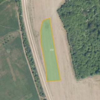 Prodej zemědělské půdy 4 169 m² Babice