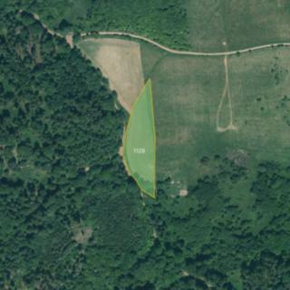 Prodej zemědělské půdy 5955 m² Šípy