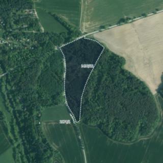 Prodej lesa 52 459 m² Římov Dolní Stropnice